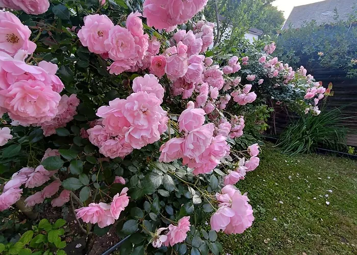 Apartment Kardos Siofok